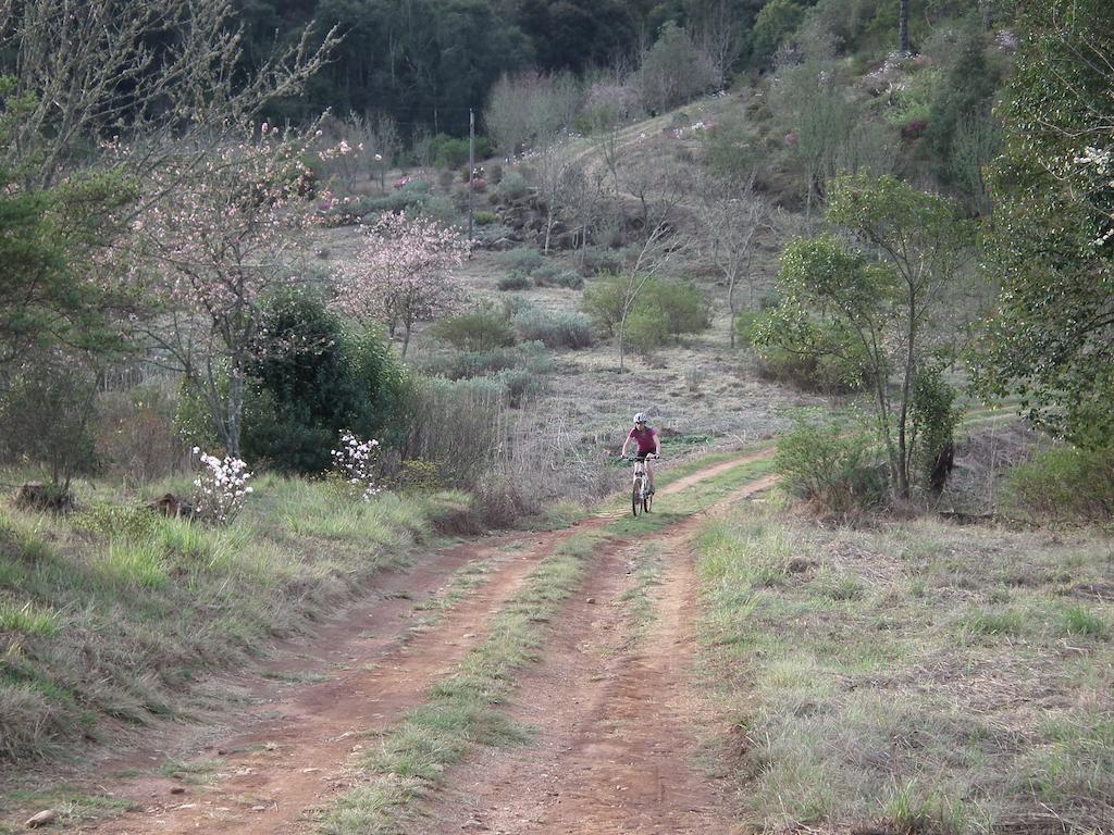 Cheerio Trout Fishing & Holiday Resort Tzaneen Exterior foto